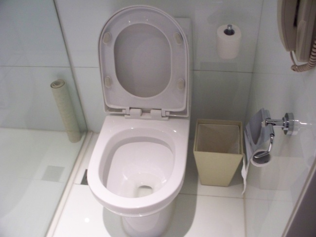 Five-star hotel toilet